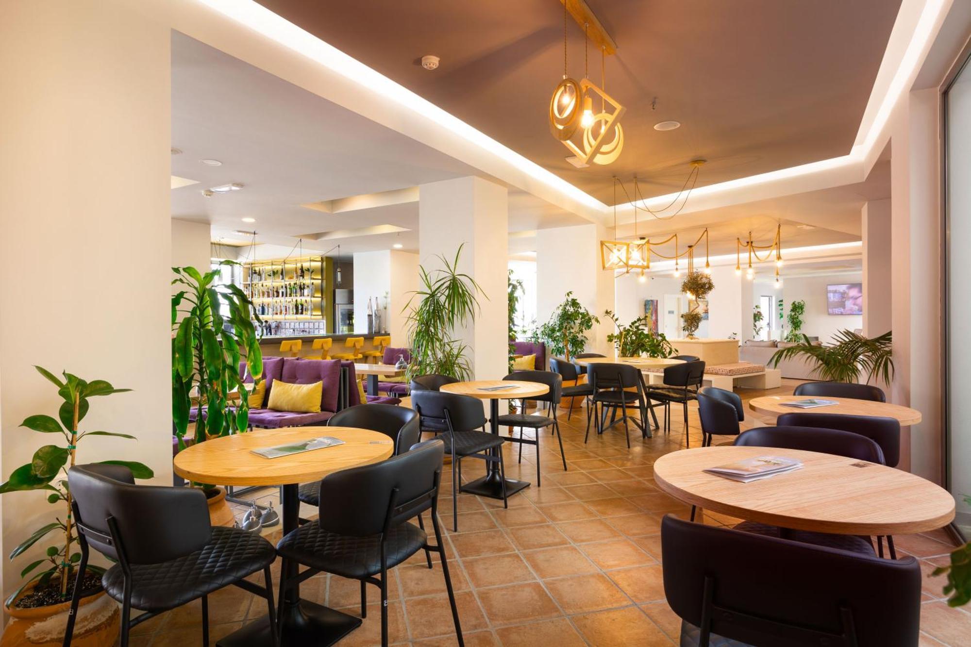 Alianthos Garden 3* Πλακιάς